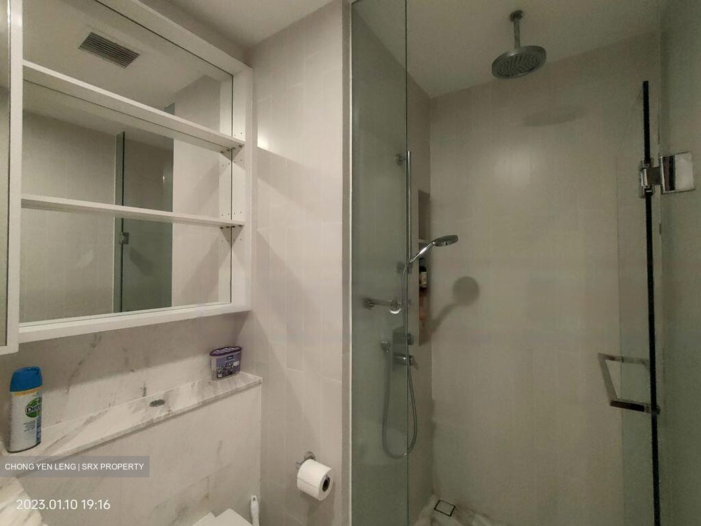 The Inflora (D17), Condominium #530072861